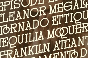 Modern Ligatures Slab Serif Font