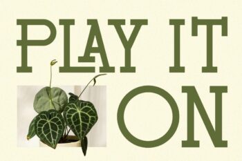 Modern Ligatures Slab Serif Font