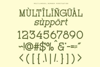 Modern Ligatures Slab Serif Font