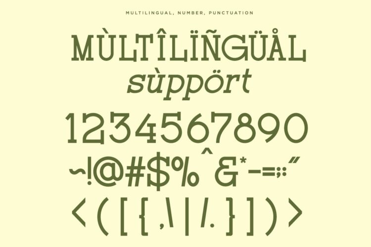 Modern Ligatures Slab Serif Font