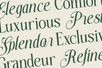 stylish serif and script duo font