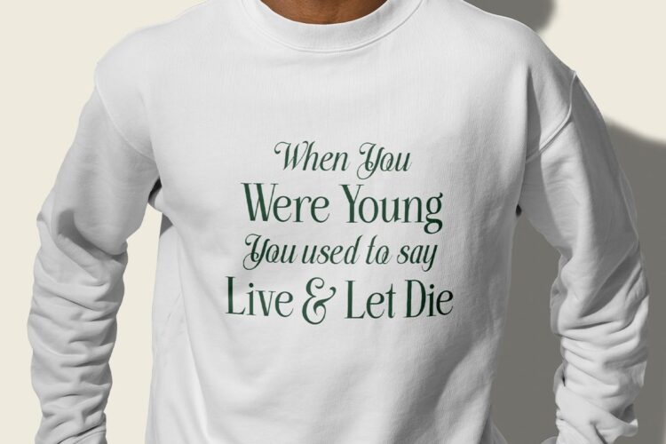 stylish serif and script duo font