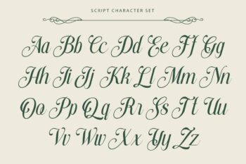 stylish serif and script duo font