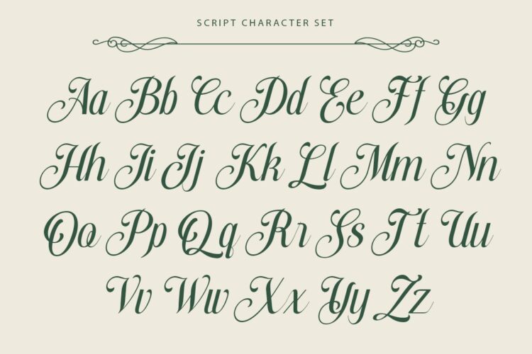 stylish serif and script duo font
