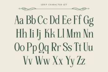 stylish serif and script duo font