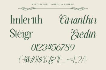 stylish serif and script duo font