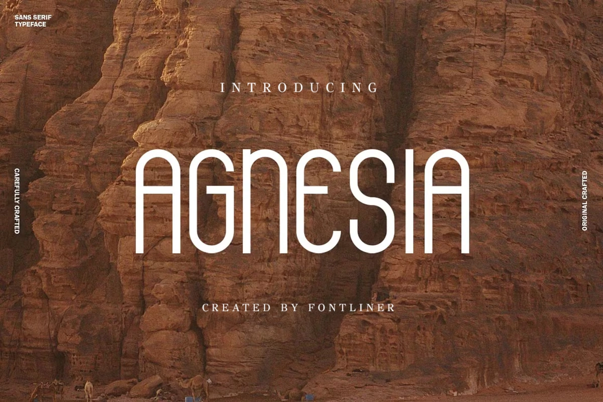 Agnesia - Sans Serif Font