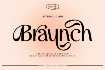 Braunch - Sans Serif Font