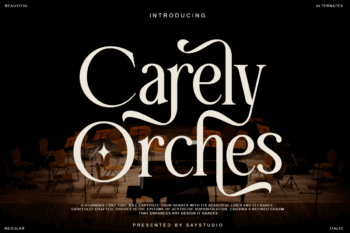 Carely Orches - Serif Font
