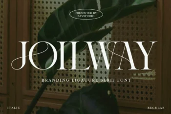 Joilway - Branding Serif Font