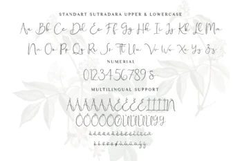 Sutra Dara