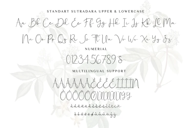 Sutra Dara
