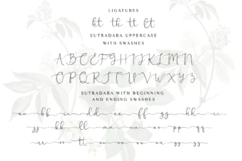 Sutra Dara