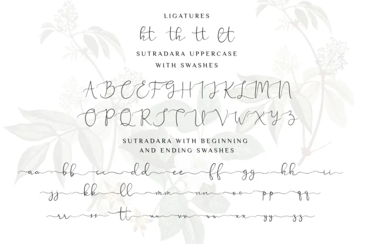 Sutra Dara