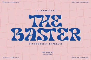 The Baster - Display Font