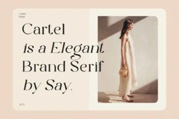 The Cartel