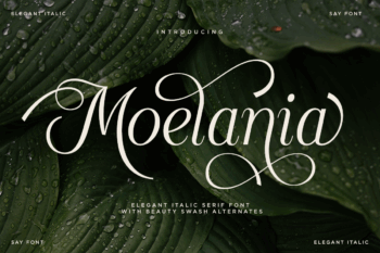 Moelania - Beauty Italic Serif Font