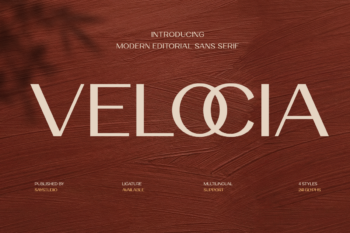 Velocia - Modern Editorial Sans