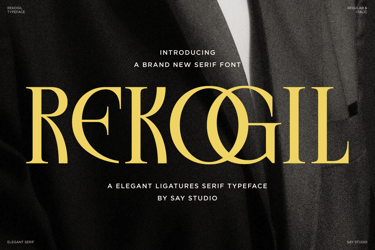 Rekogil - Elegant Ligatures Serif Font