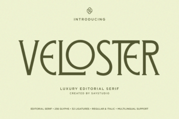 Veloster - Luxury Editorial Serif