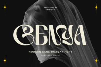 Genya - Bold Modern Display