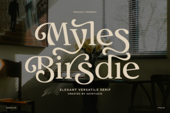 Myles Birdsie - Elegant Versatile Serif Font