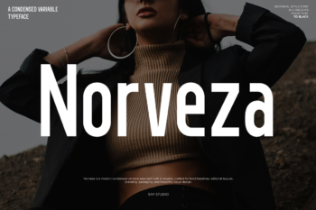 Norveza - Family Condensed Sans Serif Font